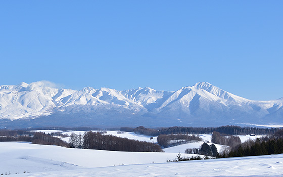 美瑛風景